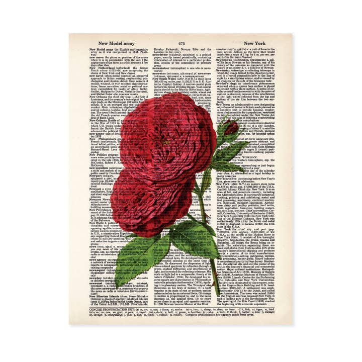 Red Roses Flowers Dictionary Art Print