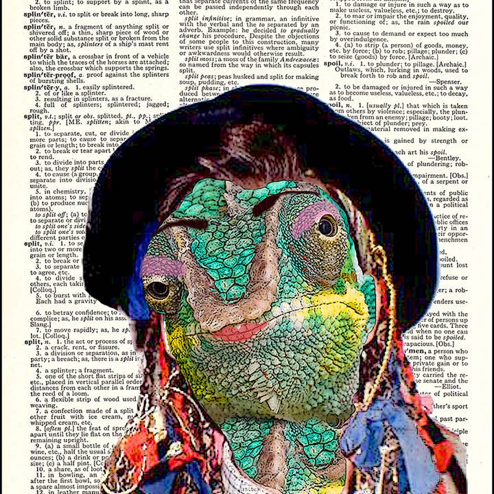 Karma Chameleon Lizard Dictionary Art Print