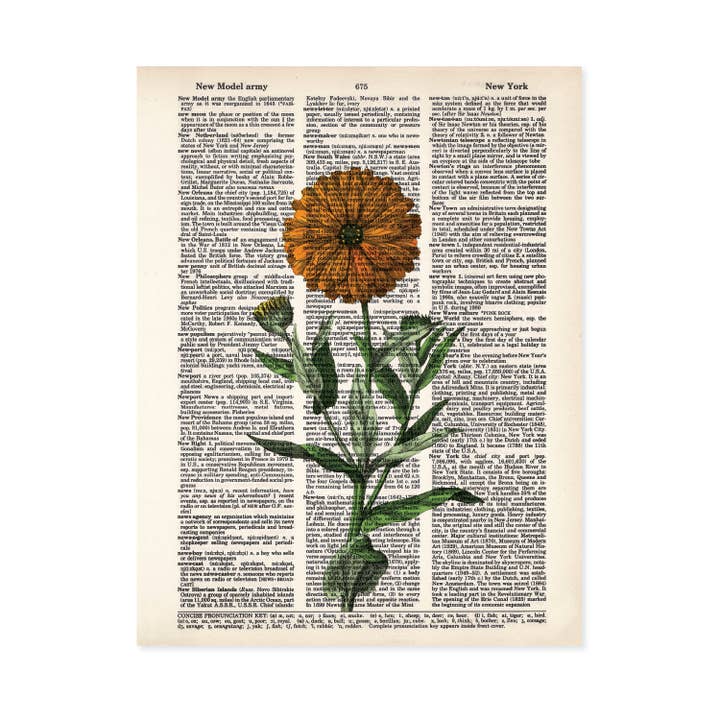 Marigold Yellow Flowers Dictionary Art Print