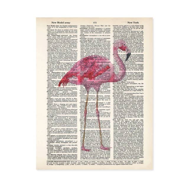 Flamingo Dictionary Art Print