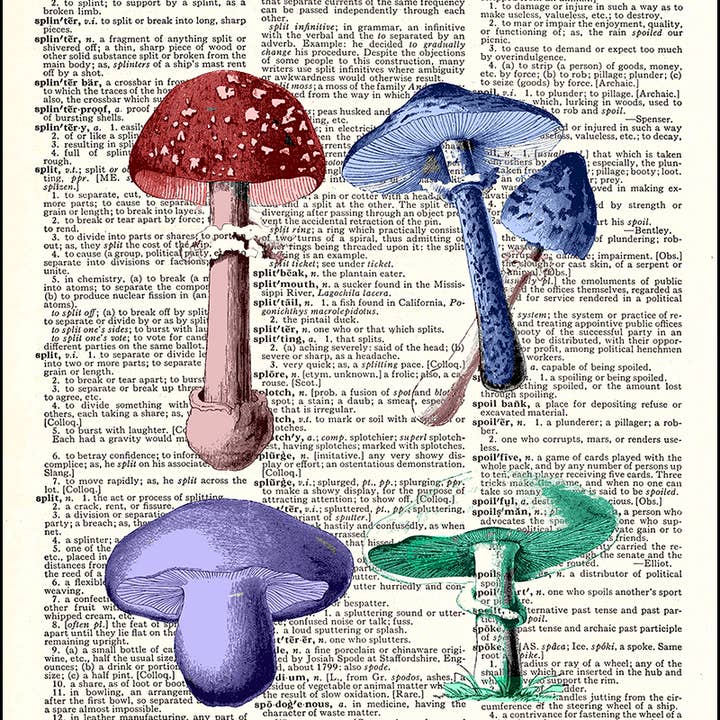 Colorful Mushrooms Dictionary Art Print
