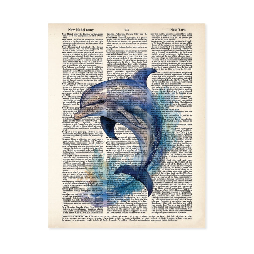 Dolphin Dictionary Art Print