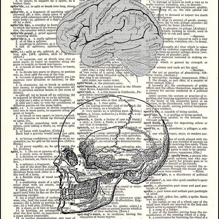 Human Brain and Skull Dictionary Art Print
