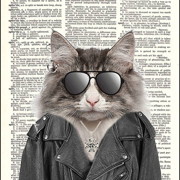 Biker Kitty Cat Dictionary Art Print