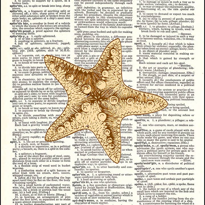 Starfish Sea Ocean Dictionary Art Print