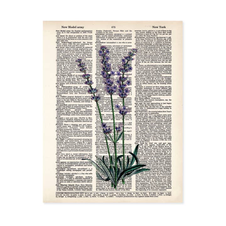 Lavender Flowers Dictionary Art Print