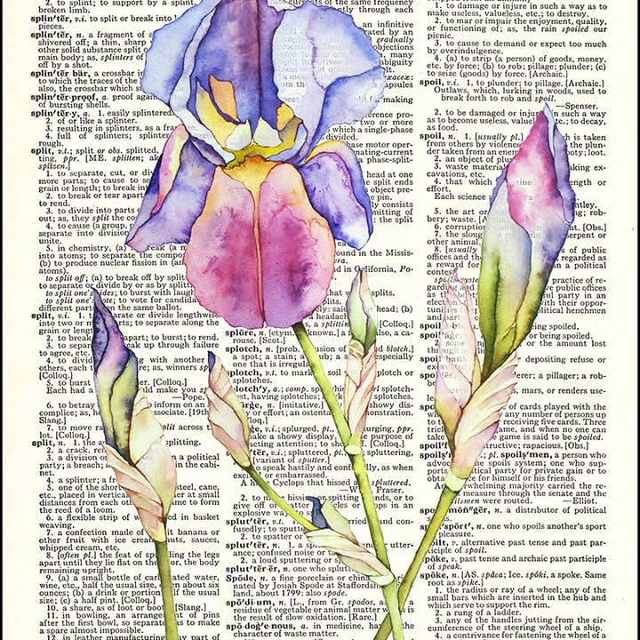Iris Flower Watercolor Dictionary Art Print