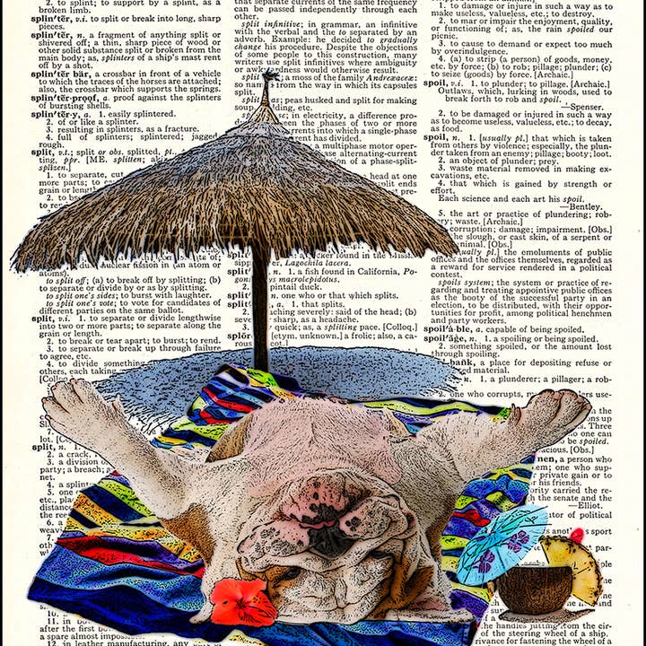 Sunbathing Bulldog Dictionary Art Print