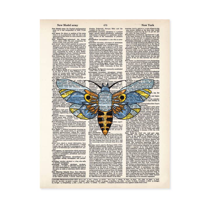 Moth Winged Bug Dictionary Art Print