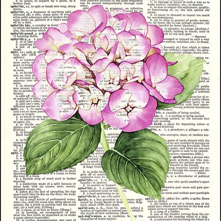 Hydrangea Flower Watercolor Dictionary Art Print