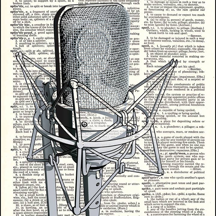 Microphone Sound Music Dictionary Art Print