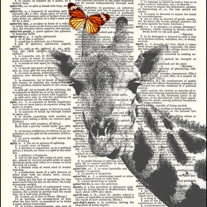 Butterfly On Giraffe Dictionary Art Print