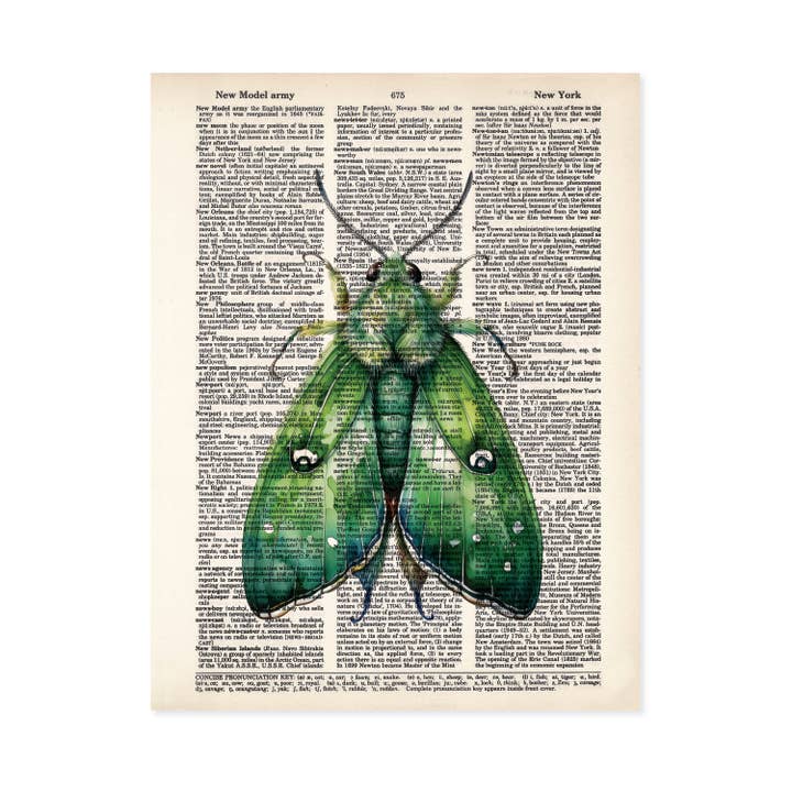 Green Moth Insect Dictionary Art Print