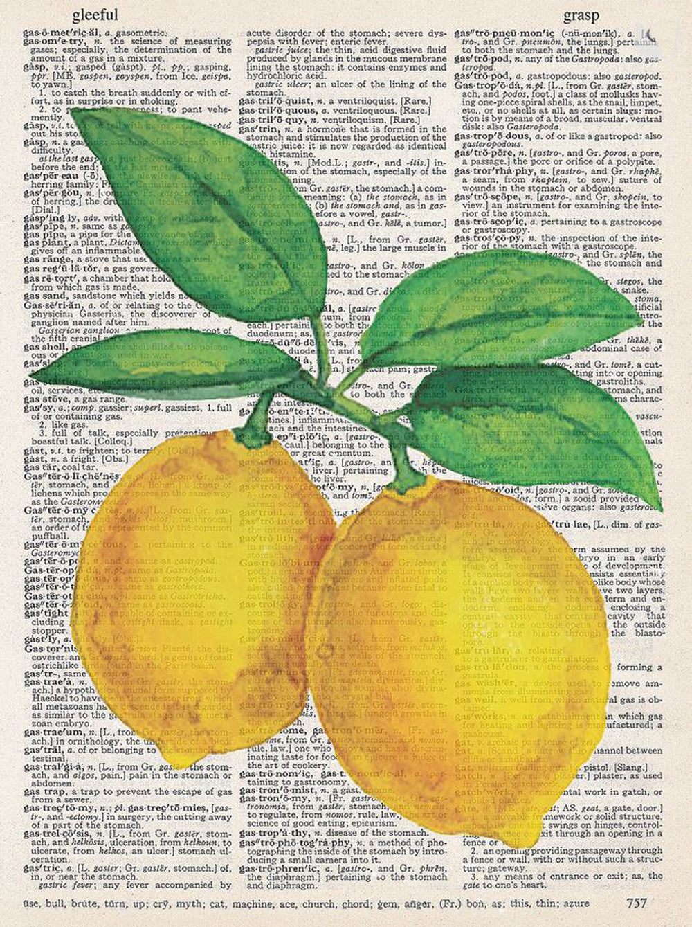 Lemons Dictionary Art Print