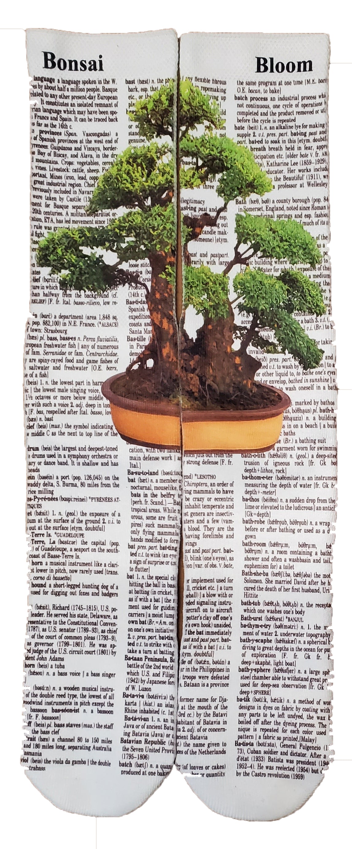 Blooming Bonsai Unisex Dictionary Art Socks