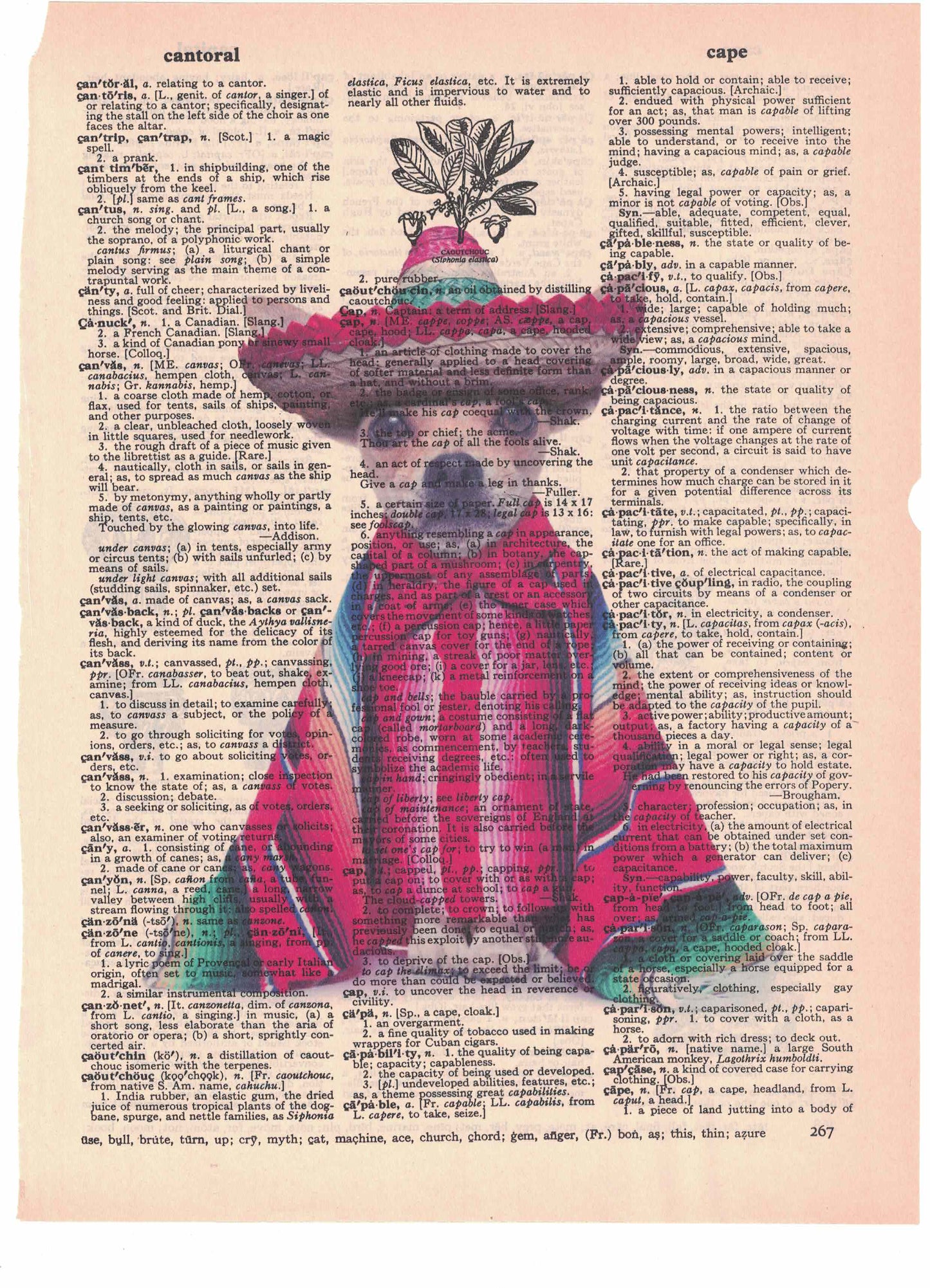 Chihuahua in Sombrero Dictionary Art Print