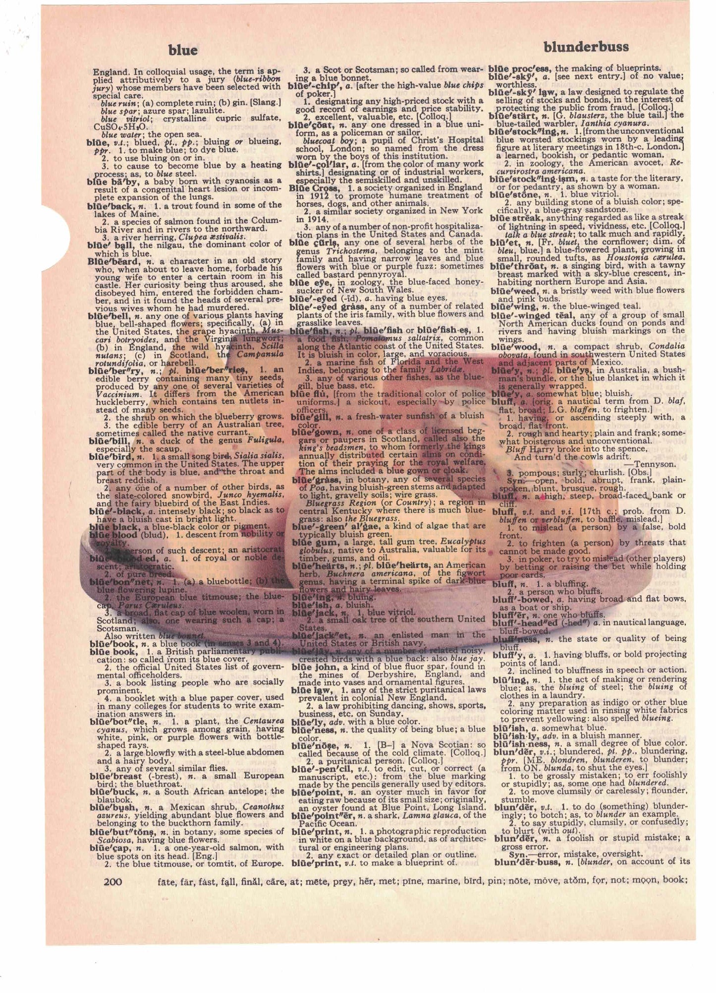 Cheese Plate Dictionary Art Print