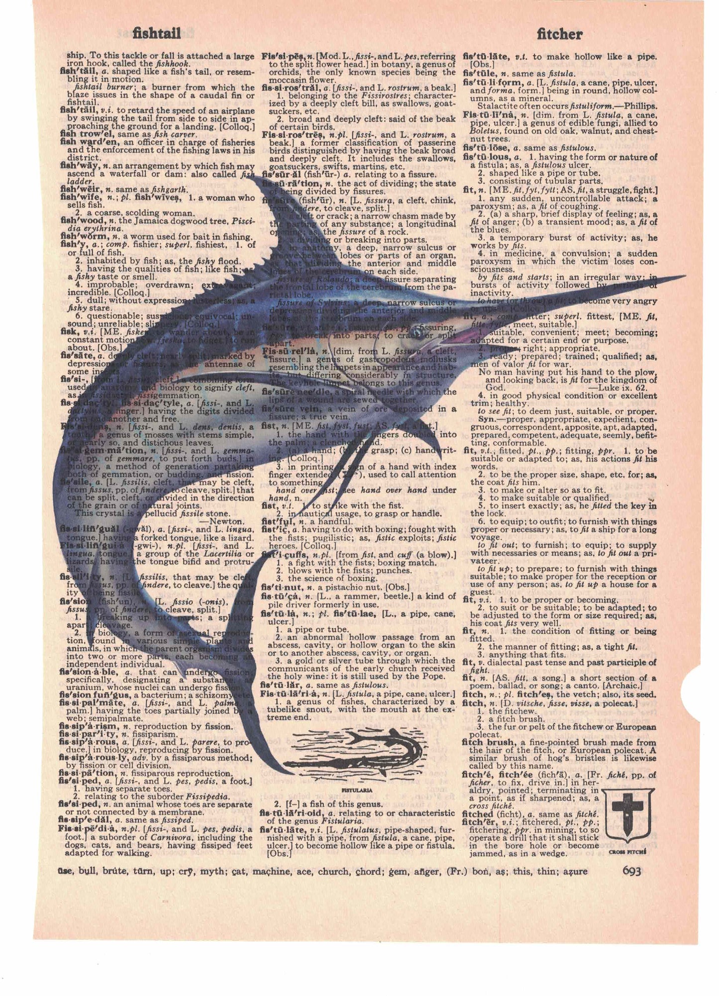 Marlin Salt Water Fish Dictionary Art Print