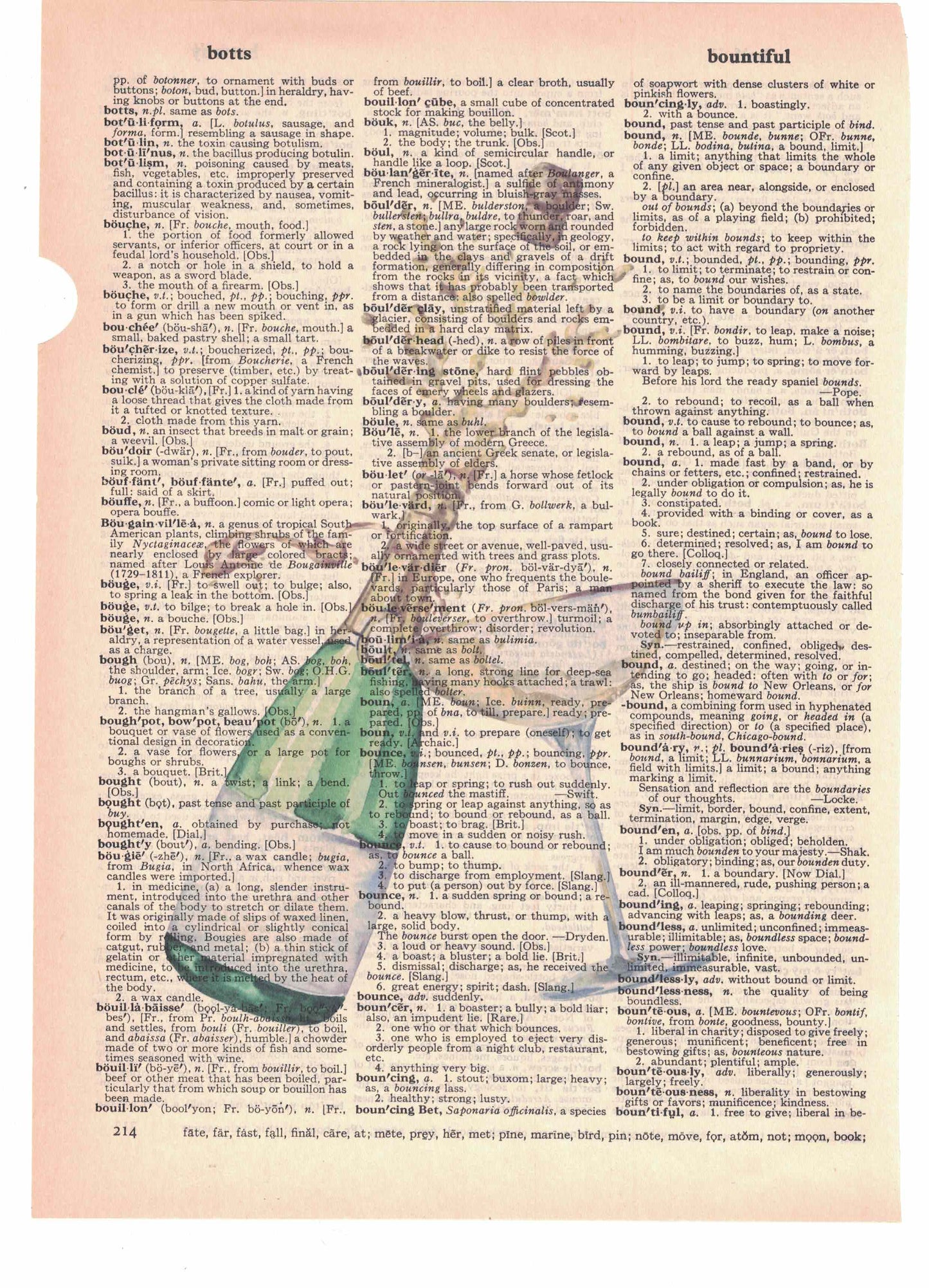 Champagne Dictionary Art Print