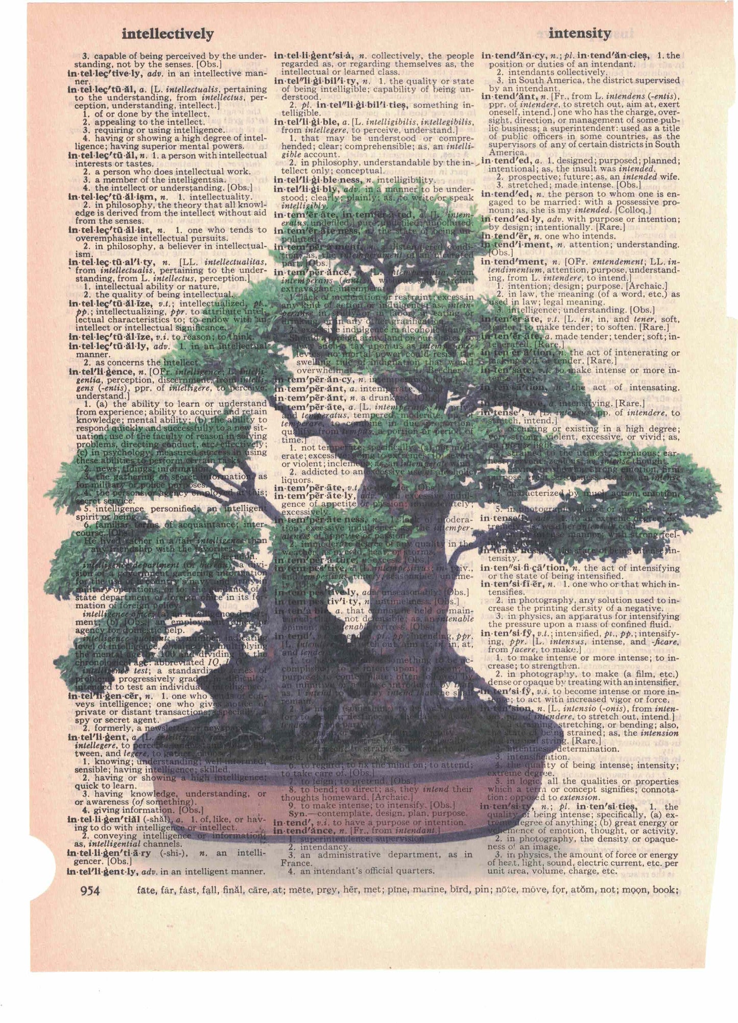 Bonzai Tree Dictionary Art Print