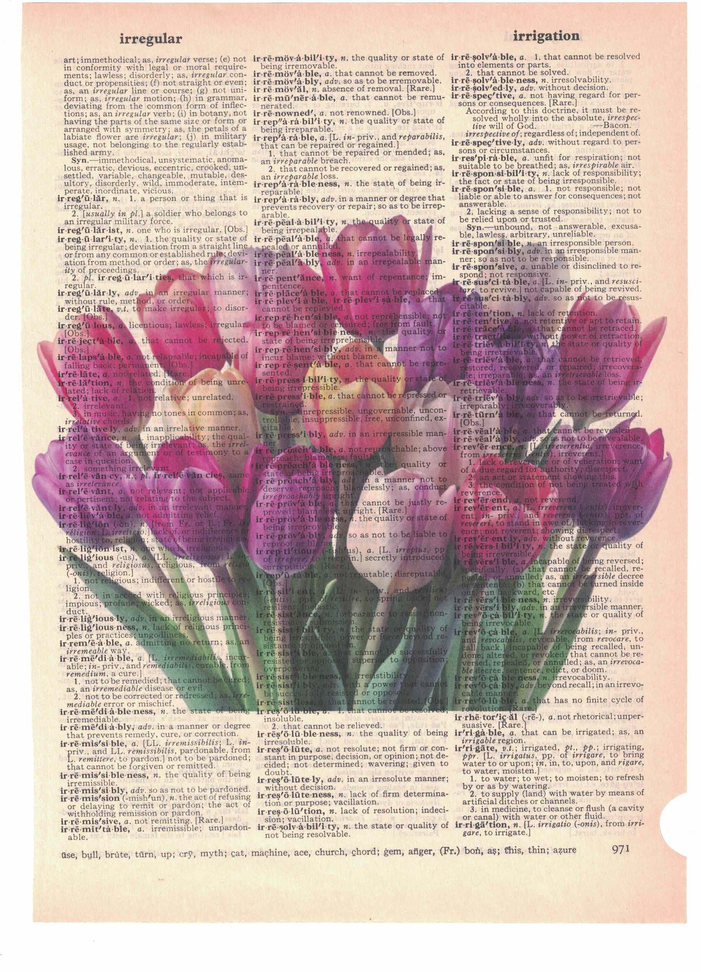 Tulips Flowers Dictionary Art Print