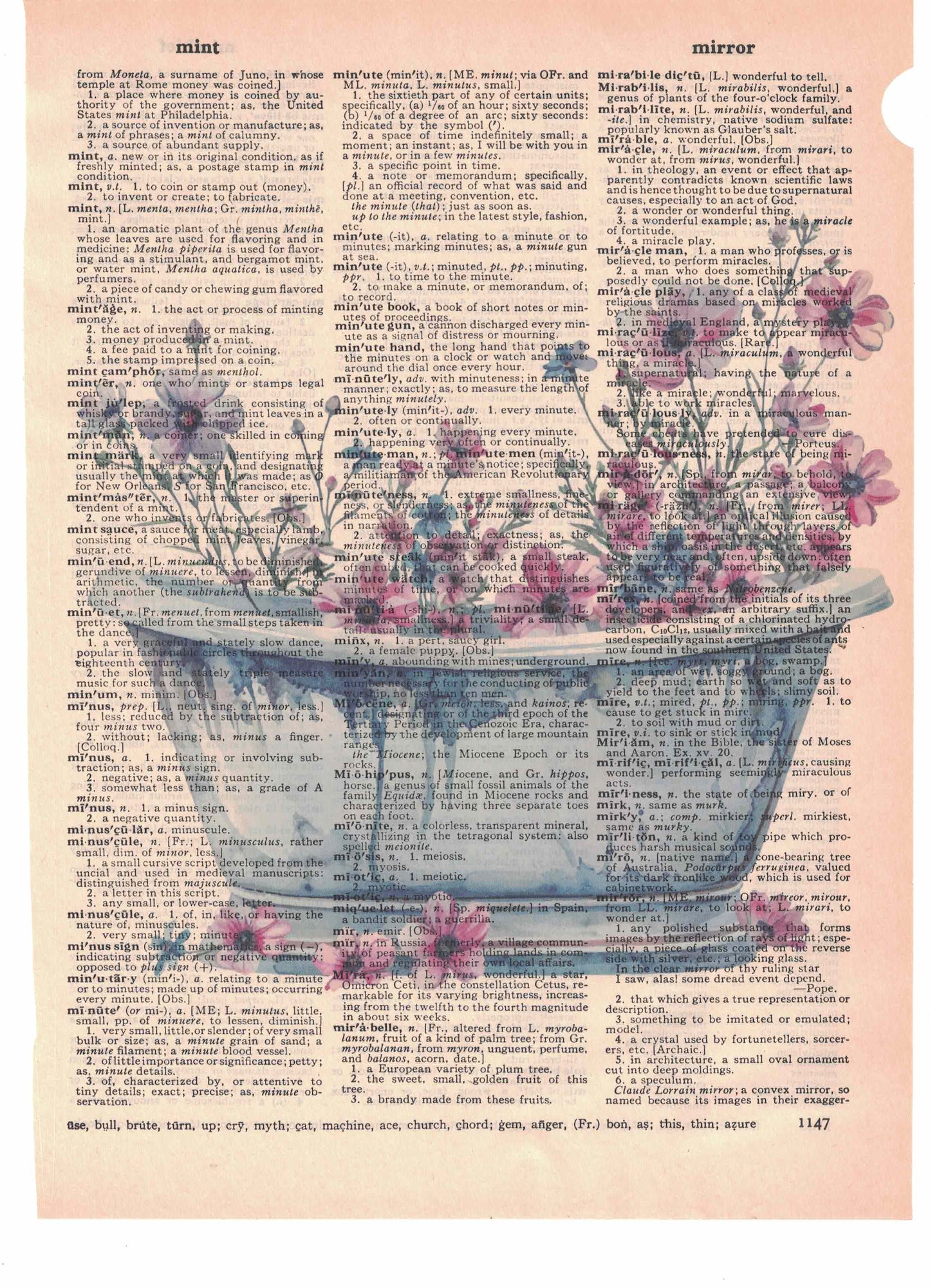 Bathtub Flowers Dictionary Art Print