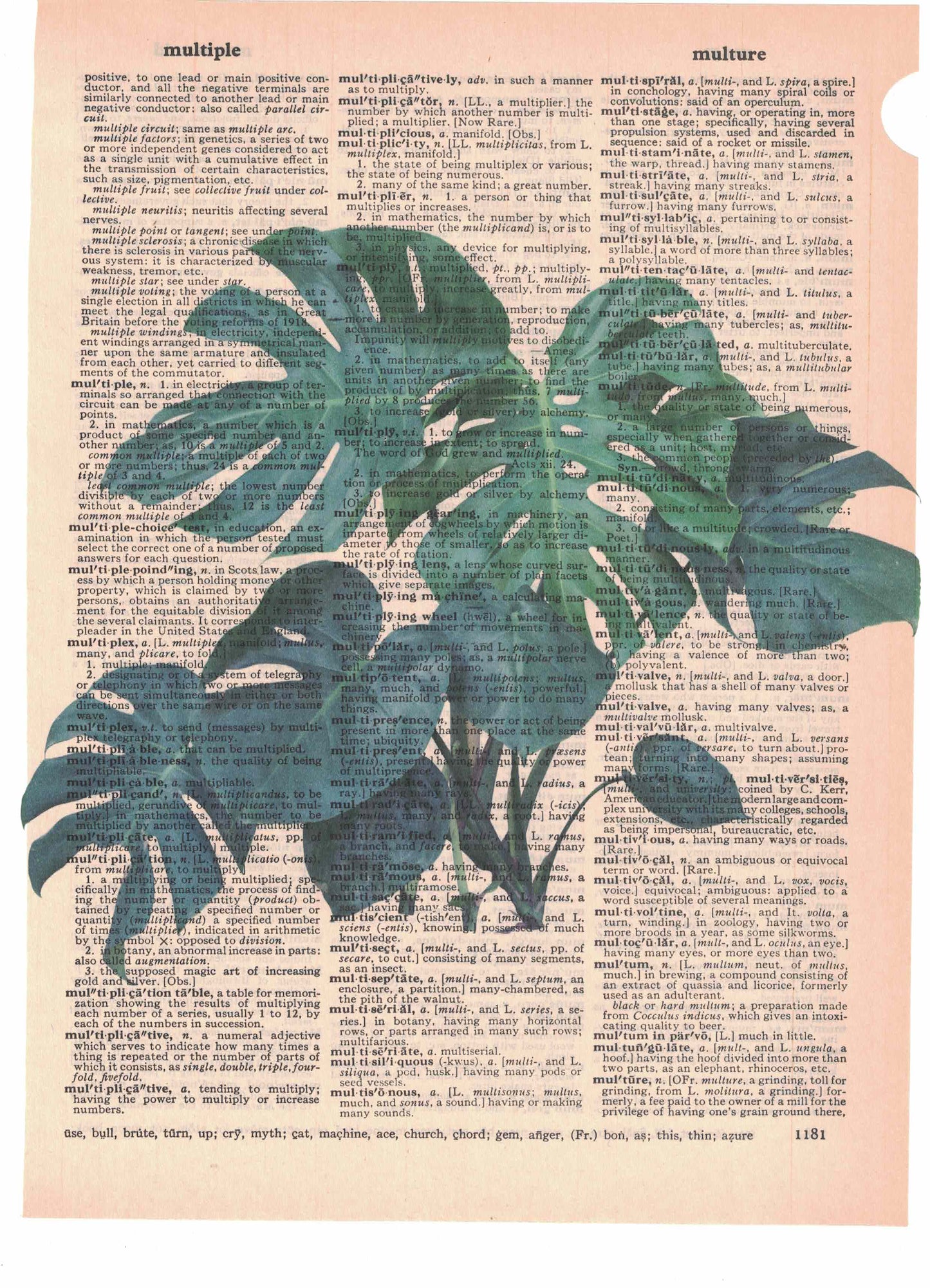 Jungle Leaves Leaf Dictionary Art Print