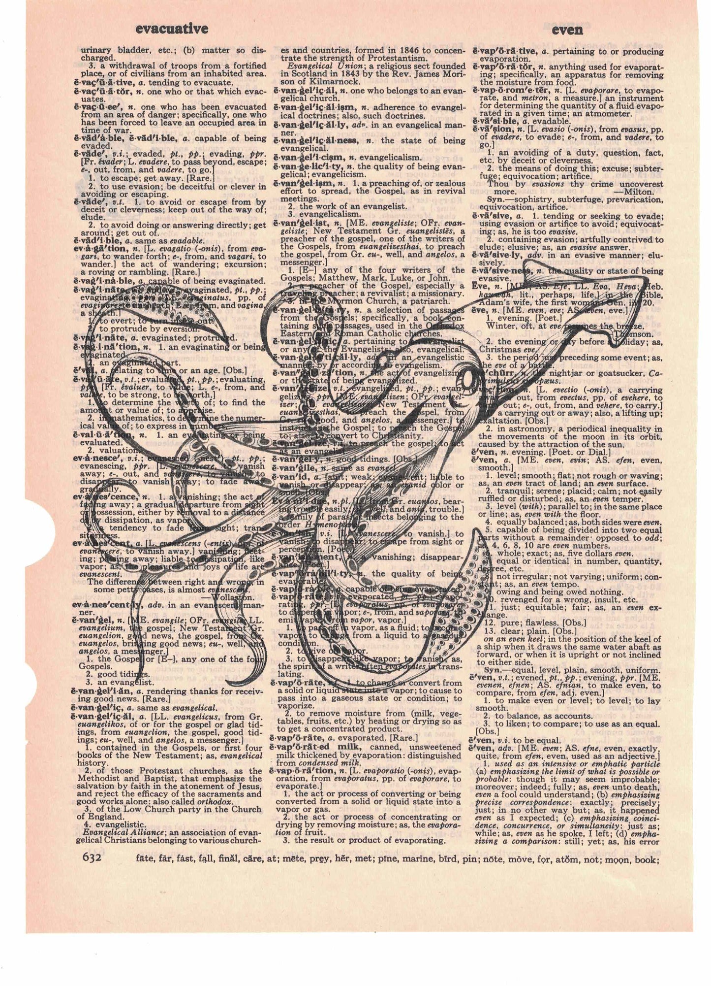 Squid Dictionary Art Print