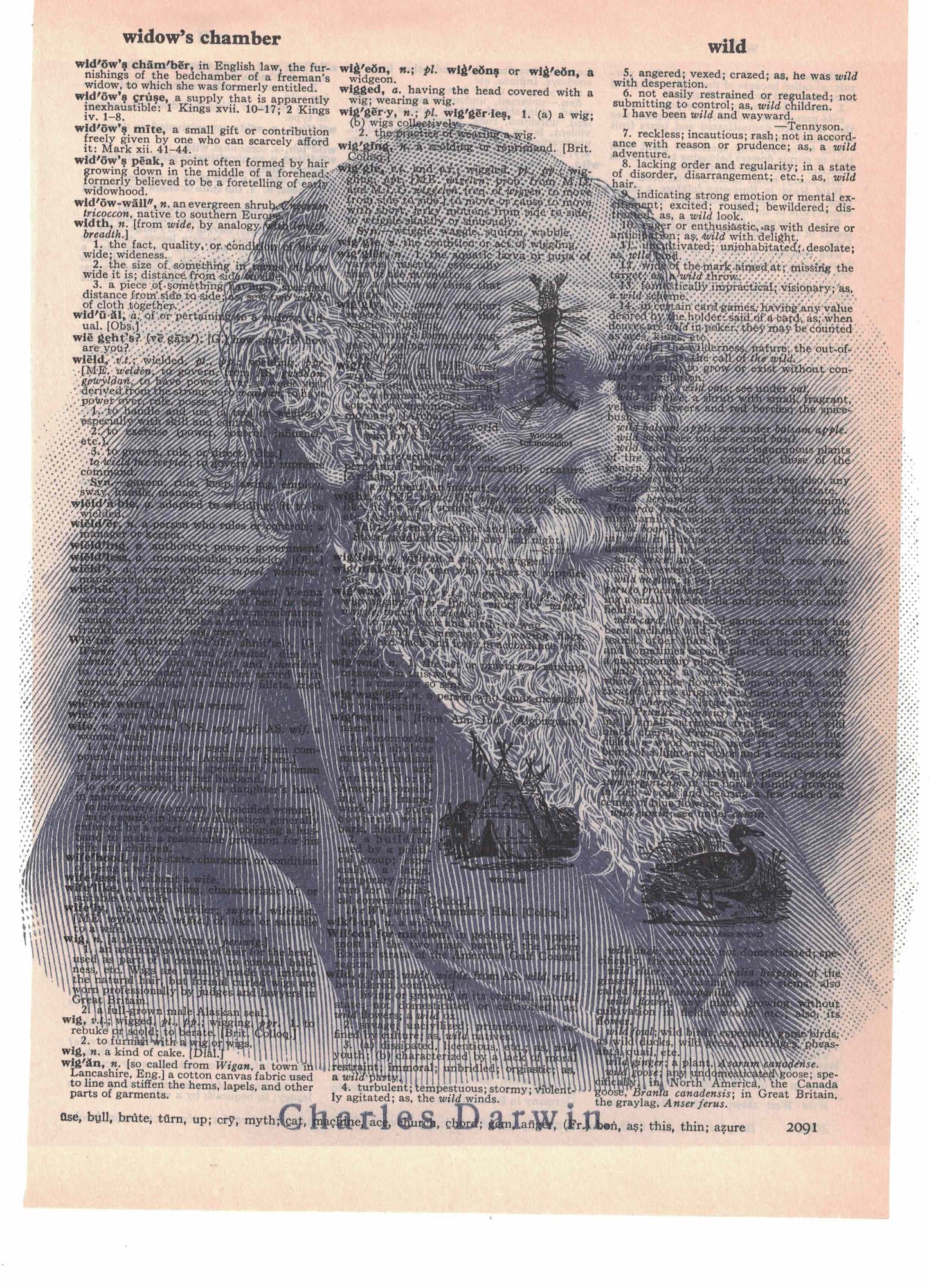 Charles Darwin Dictionary Art Print