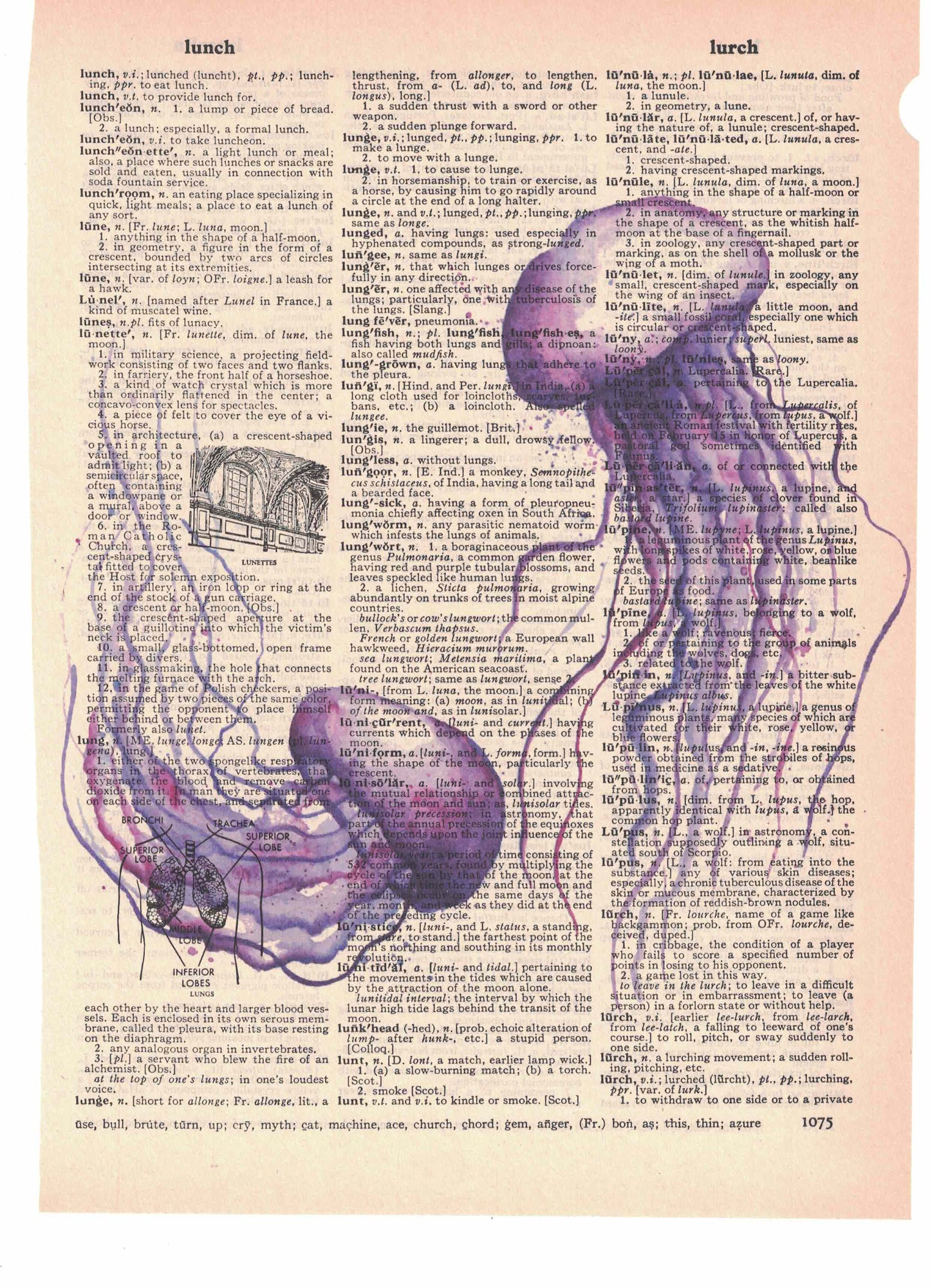 Jellyfish Dictionary Art Print