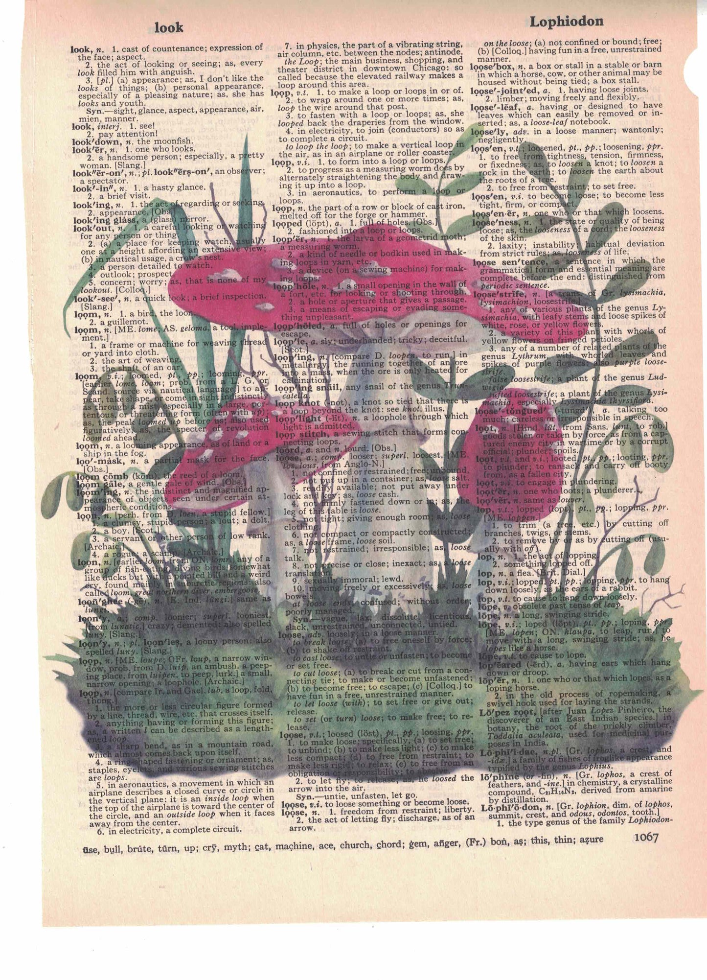 Red Mushrooms Dictionary Art Print