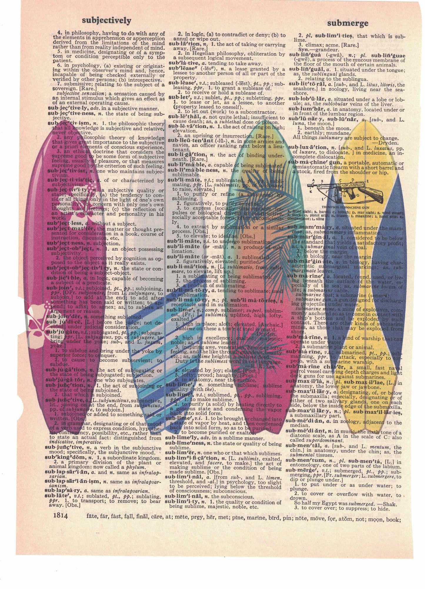 Surfboards Dictionary Art Print