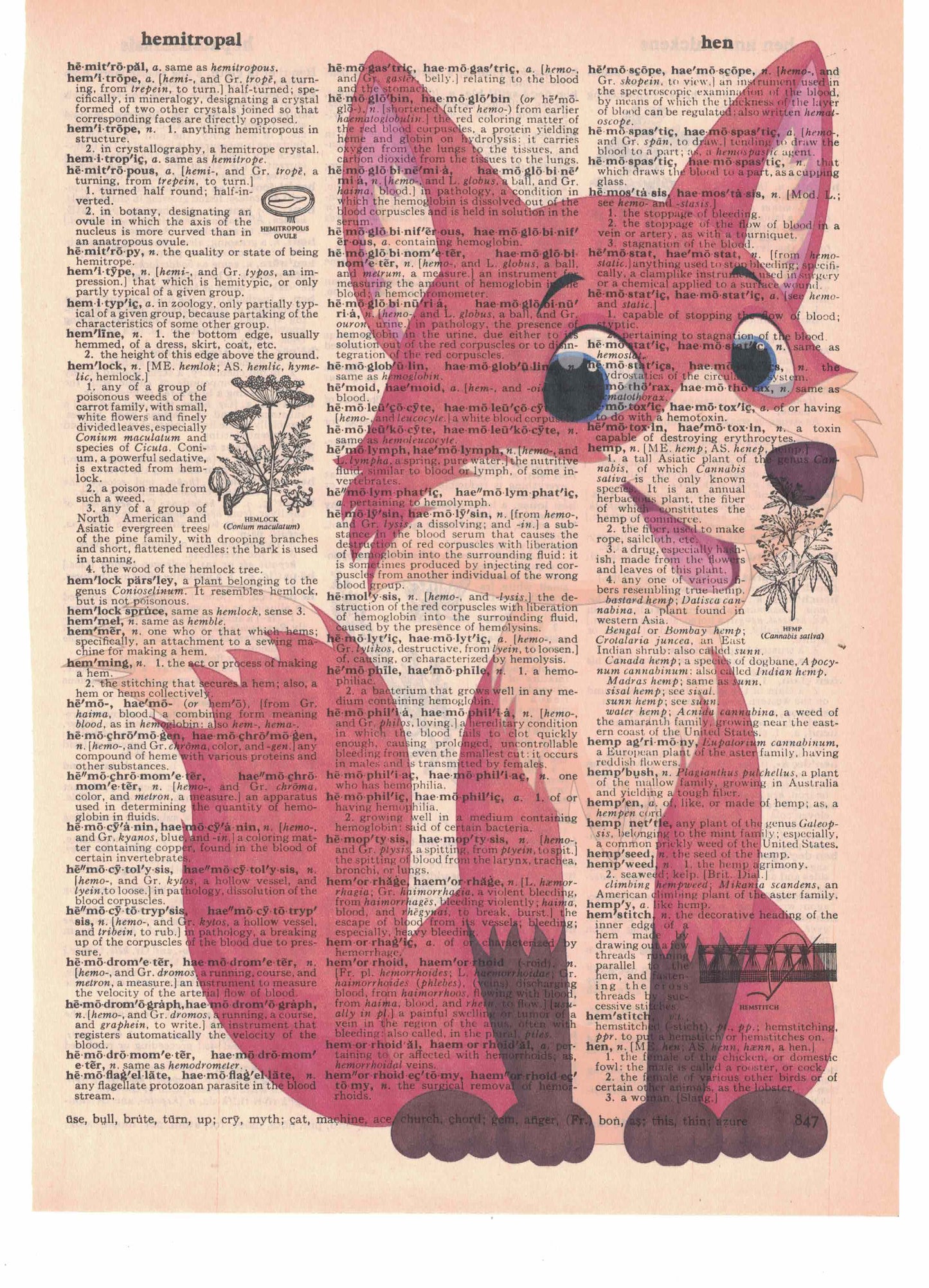 Fox Dictionary Art Print