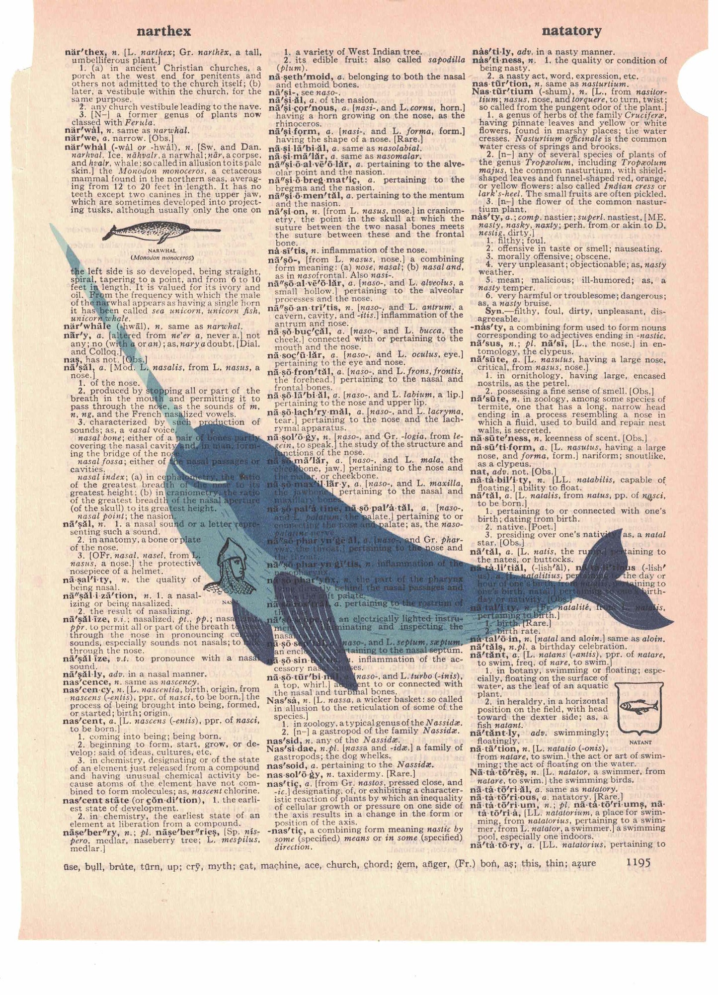 Narwhal Dictionary Art Print