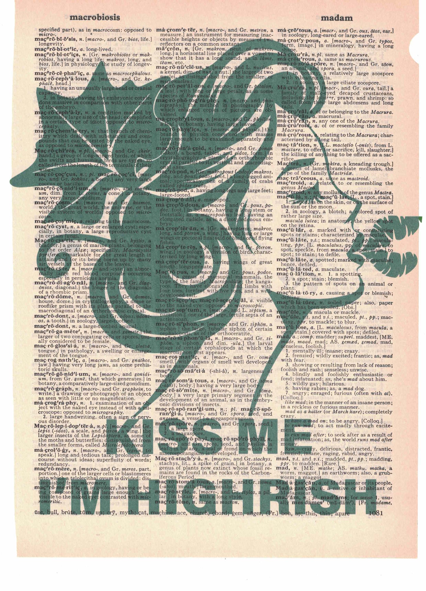 Kiss Me I'm Highrish Dictionary Art Print
