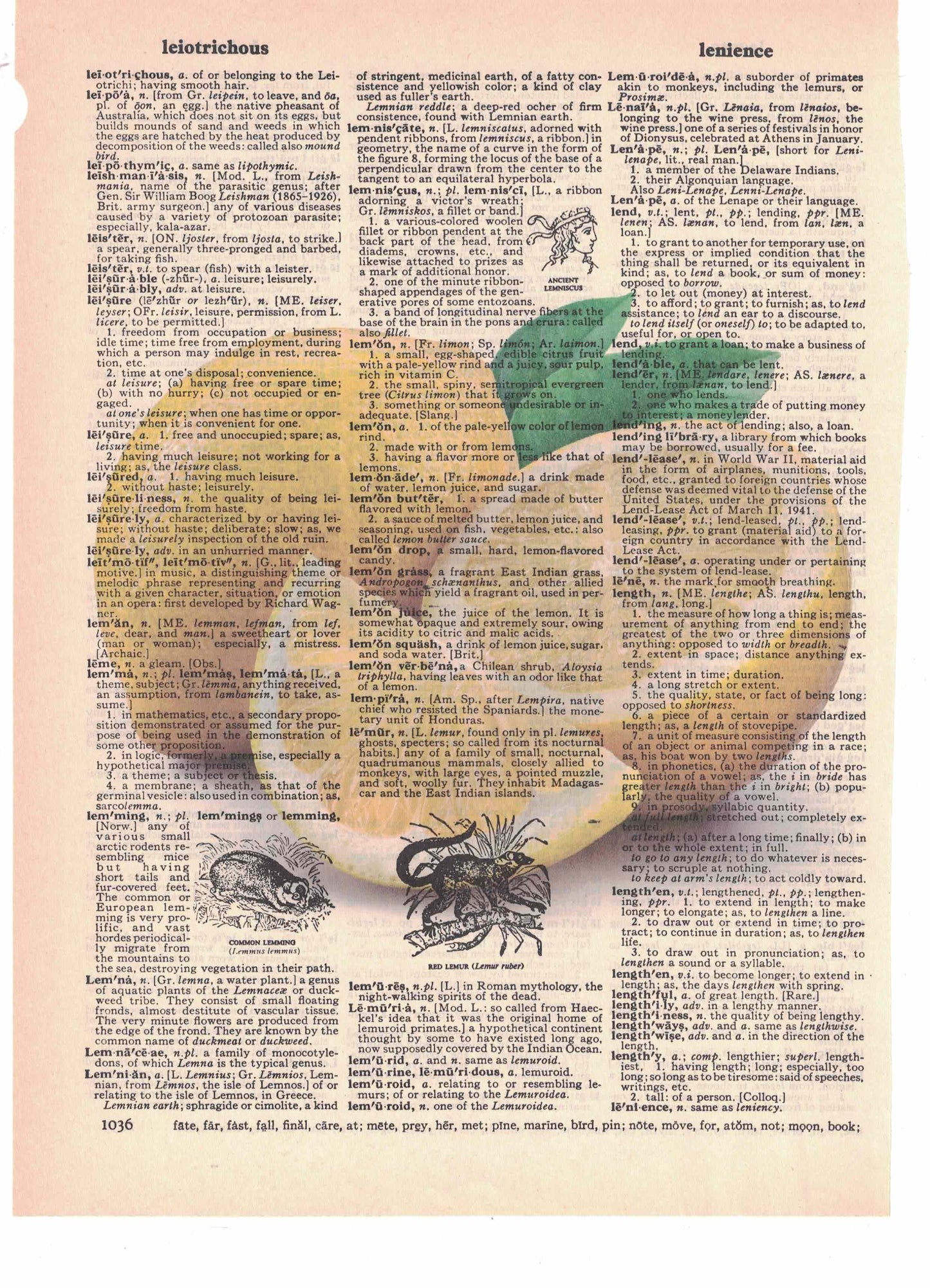 Lemons Dictionary Art Print