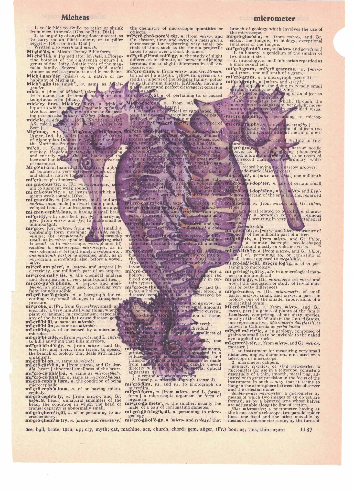 Seahorses Dictionary Art Print