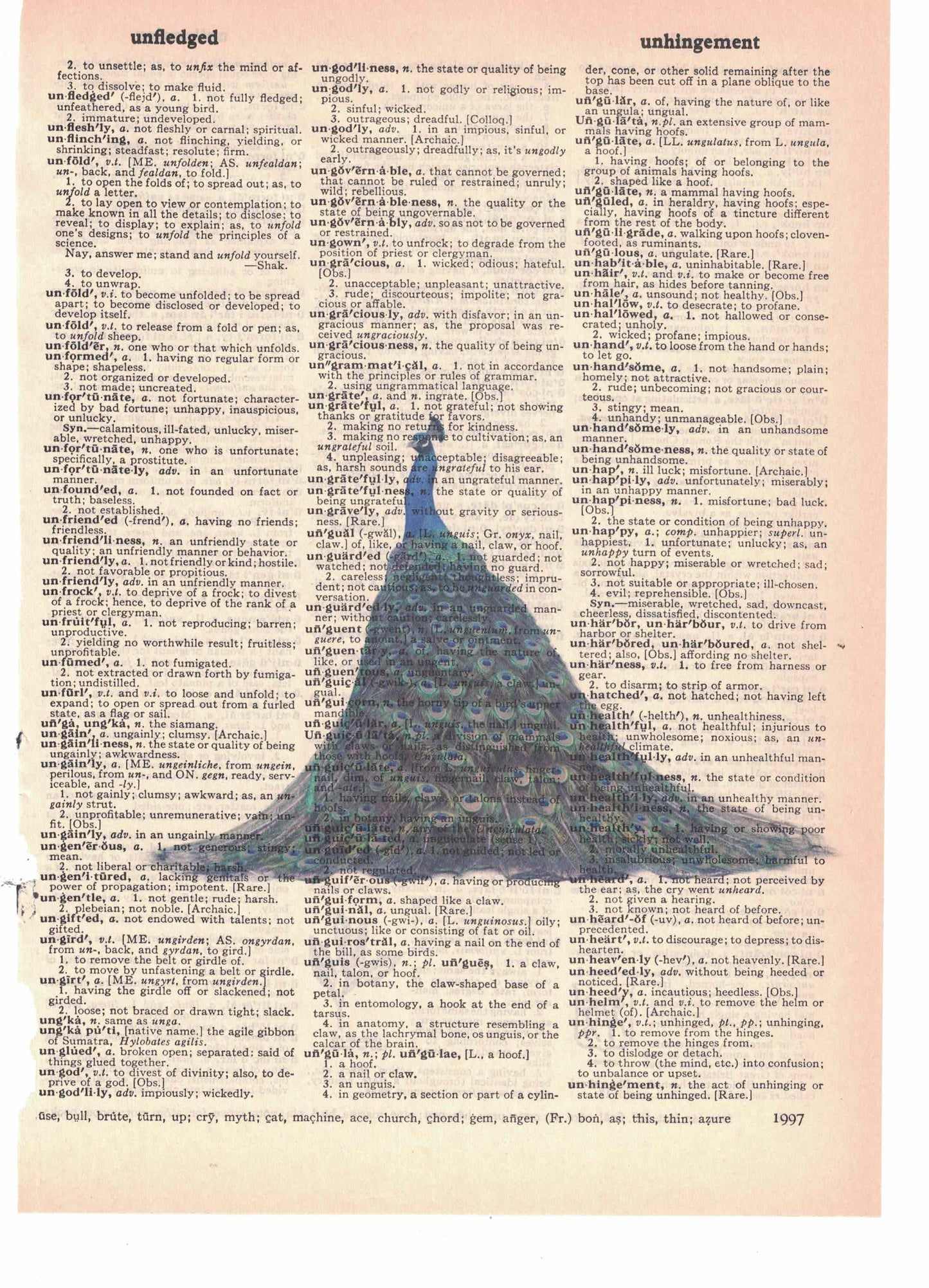 Peacock Dictionary Art Print