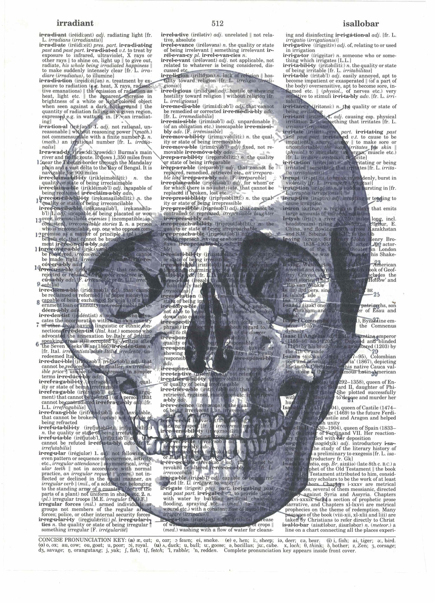 Anatomical Skull Dictionary Art Print