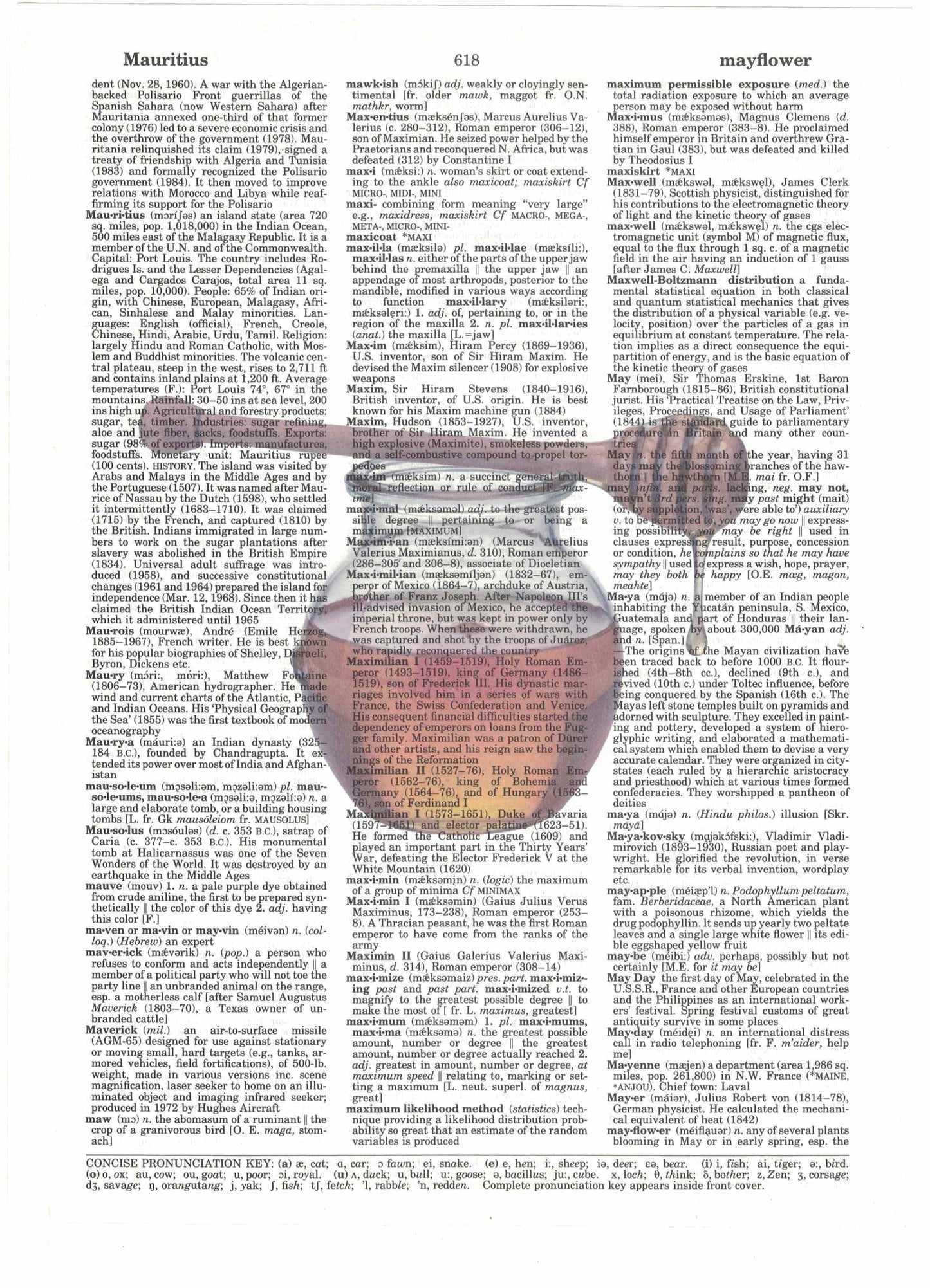 Honey Dictionary Art Print