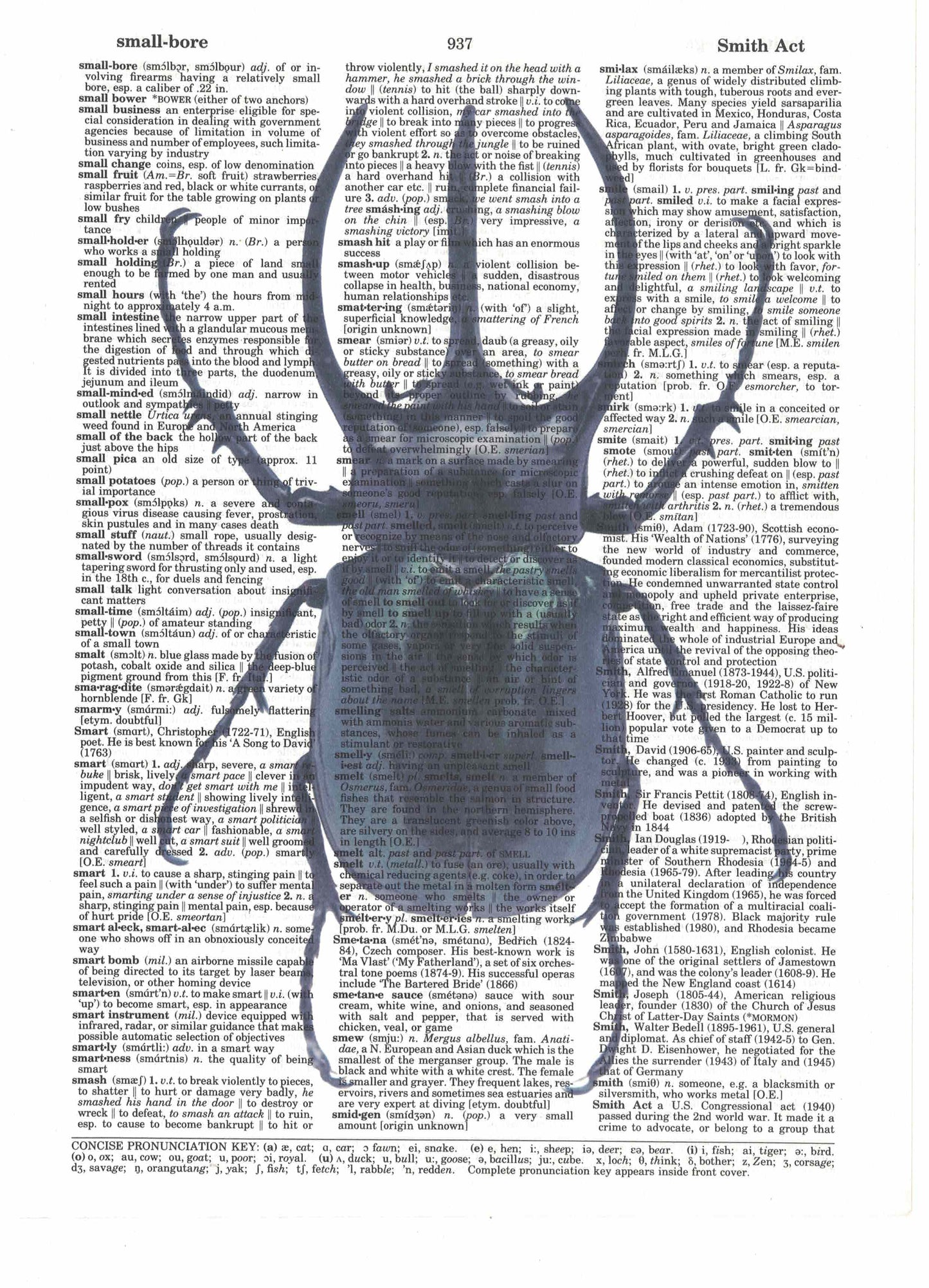 Black Rhino Beetle Dictionary Art Print