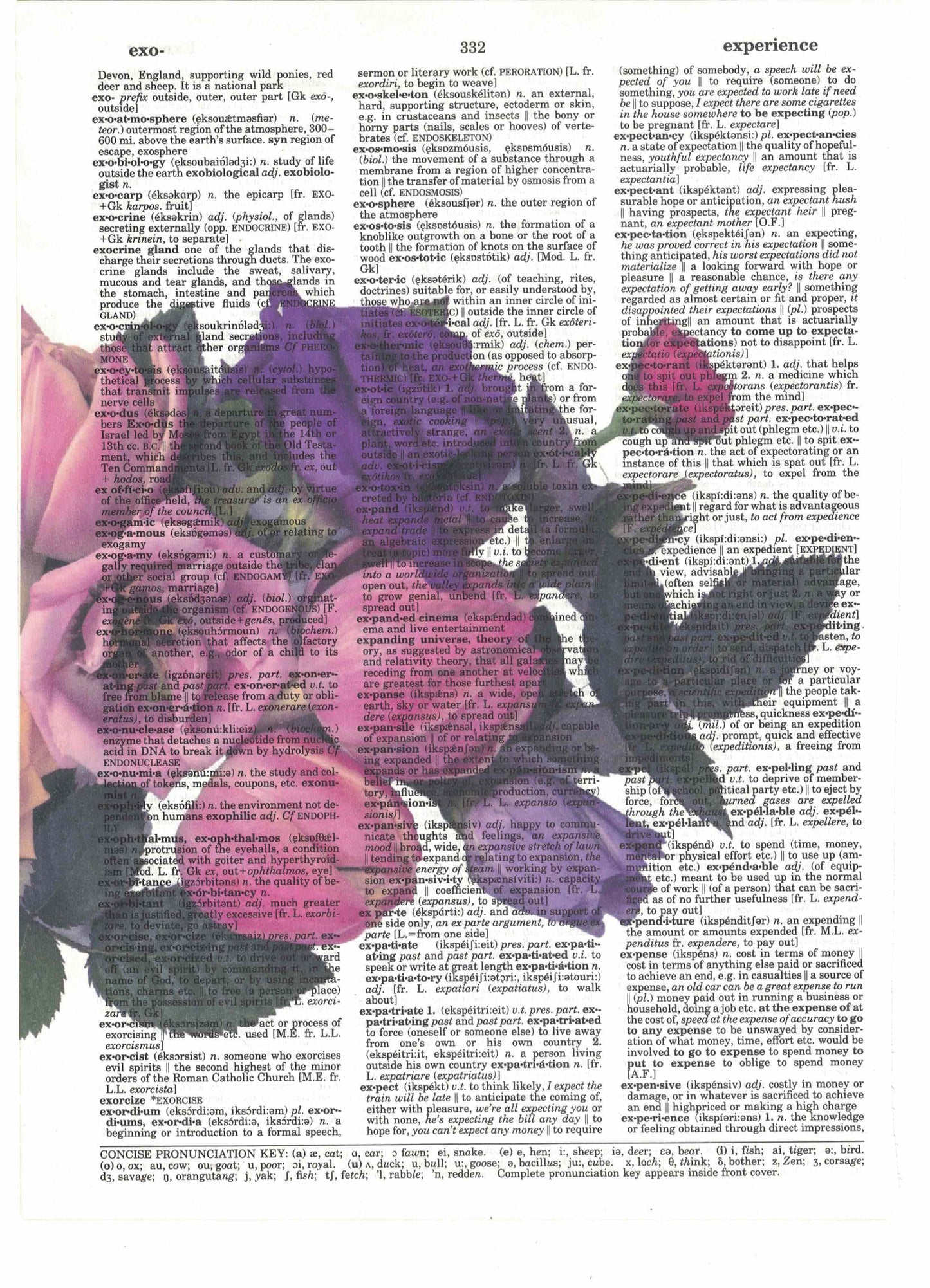 Flowers Bouquet 3 Piece Linked Dictionary Art