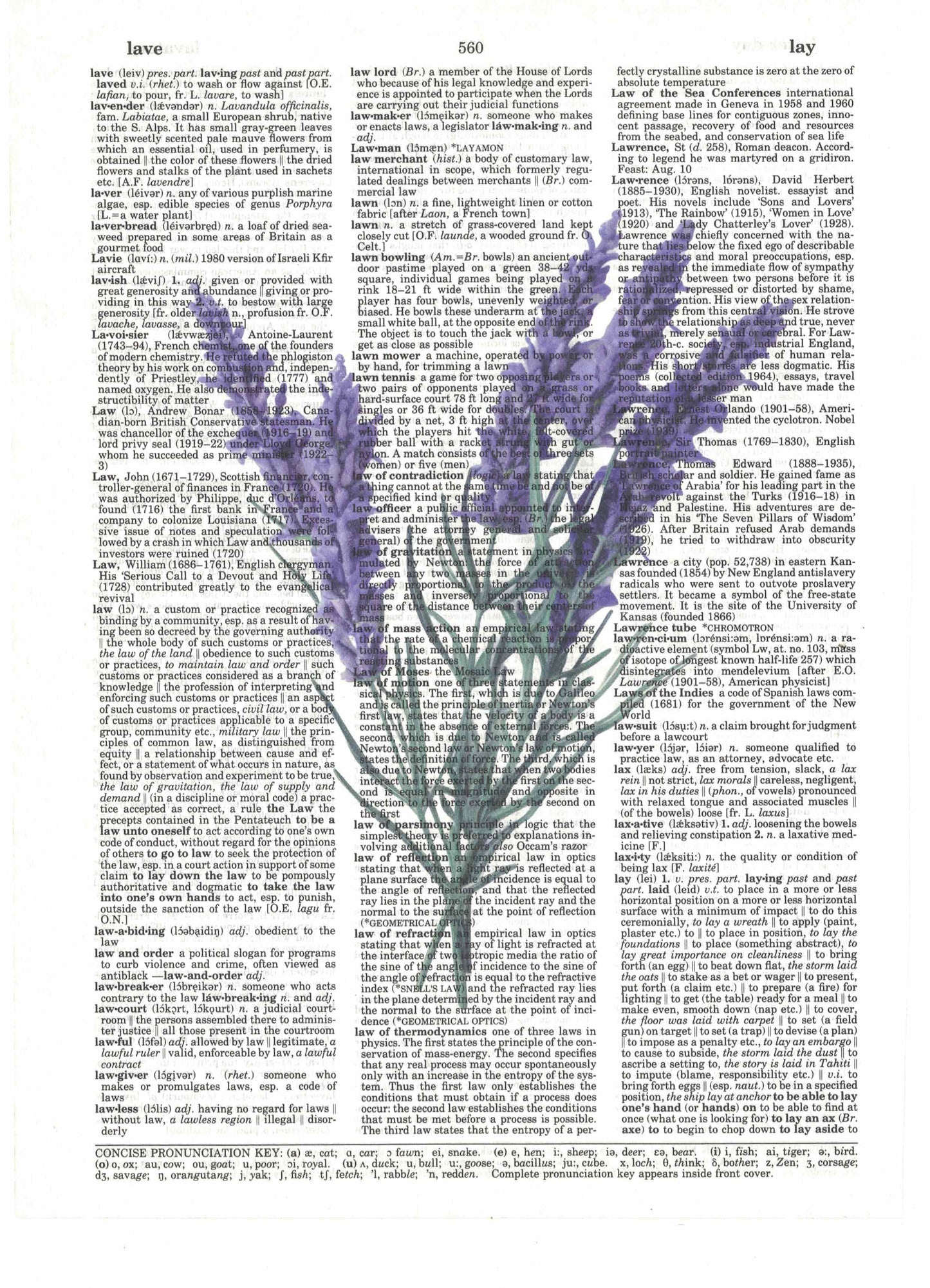 Lavender Flowers Dictionary Art Print