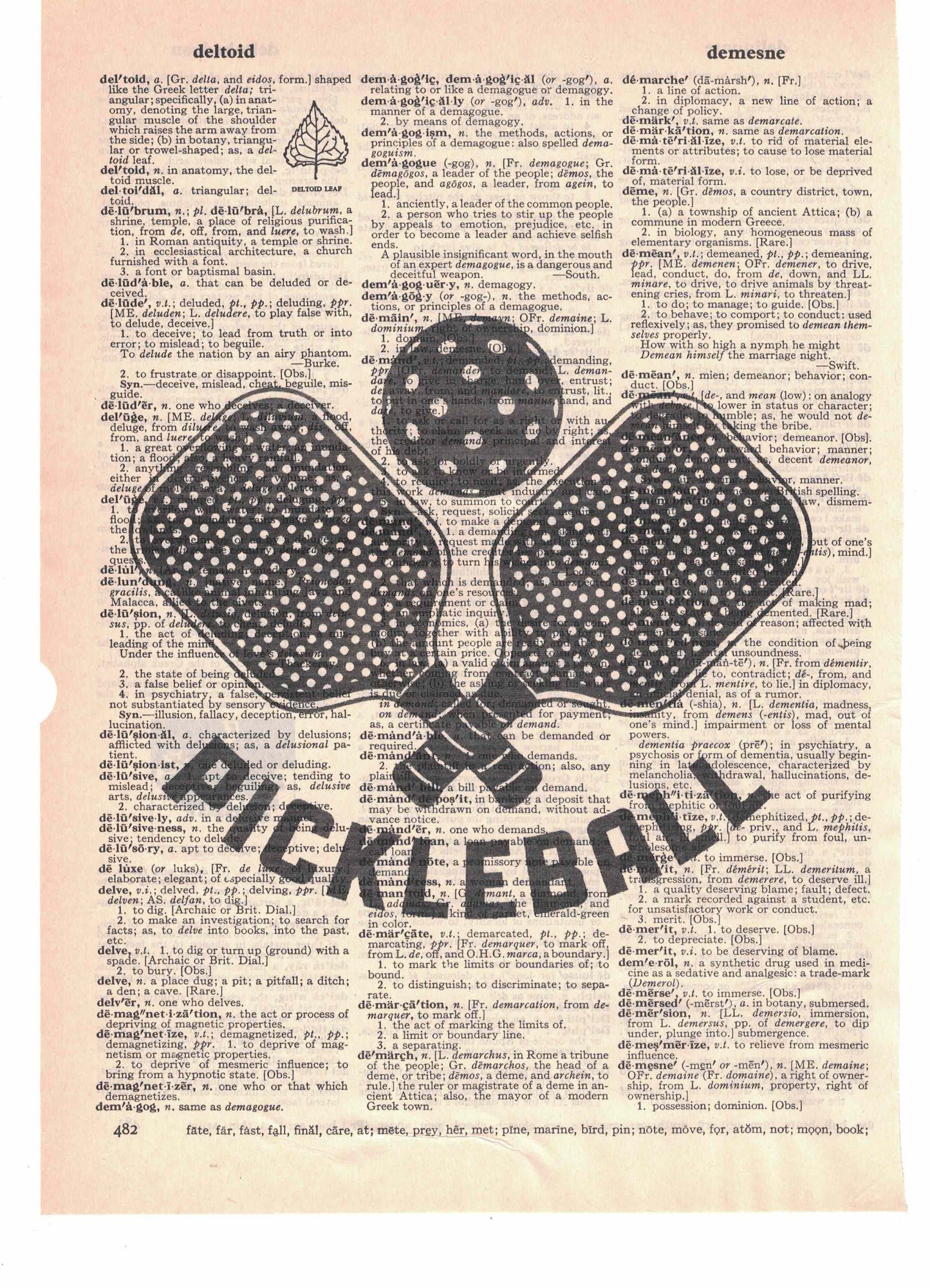 Pickleball Dictionary Art Print