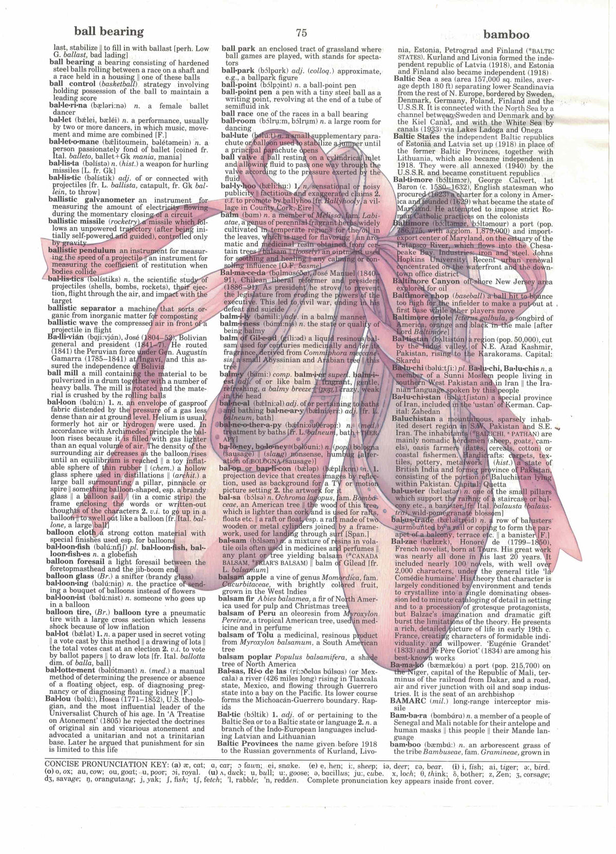 Ballet Shoes Art Print