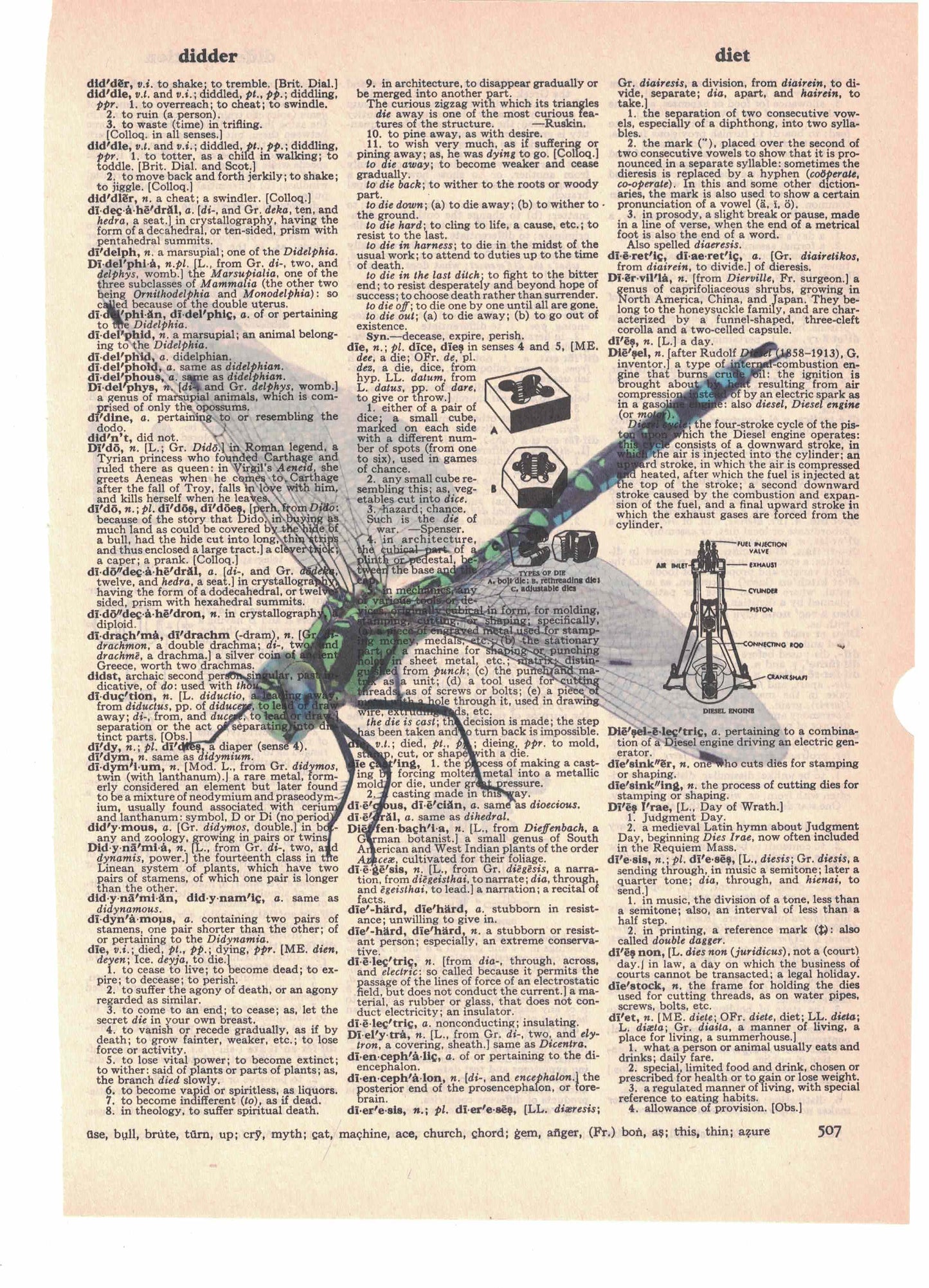 Dragonfly Dictionary Art Print