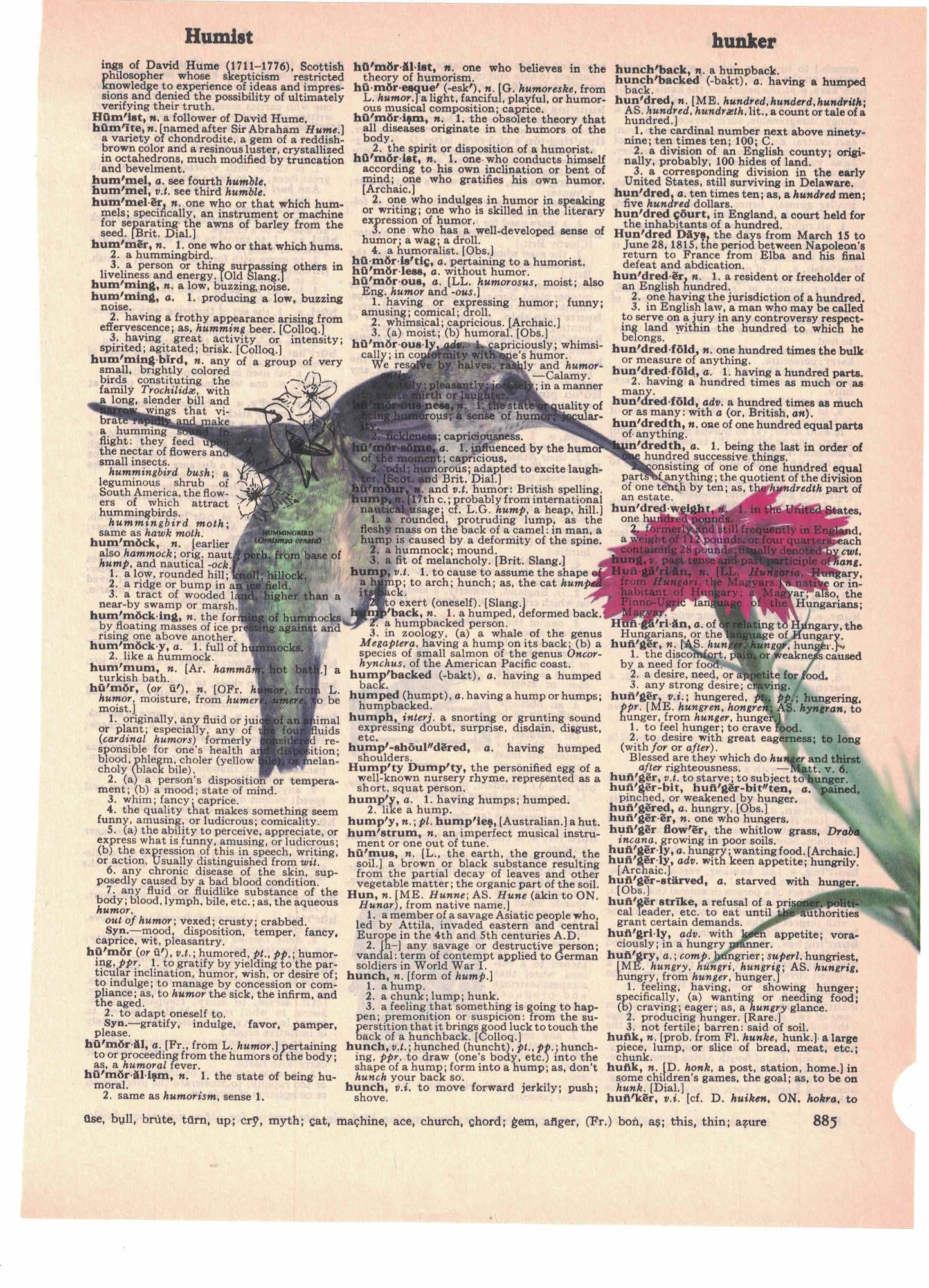 Hummingbird Dictionary Art Print
