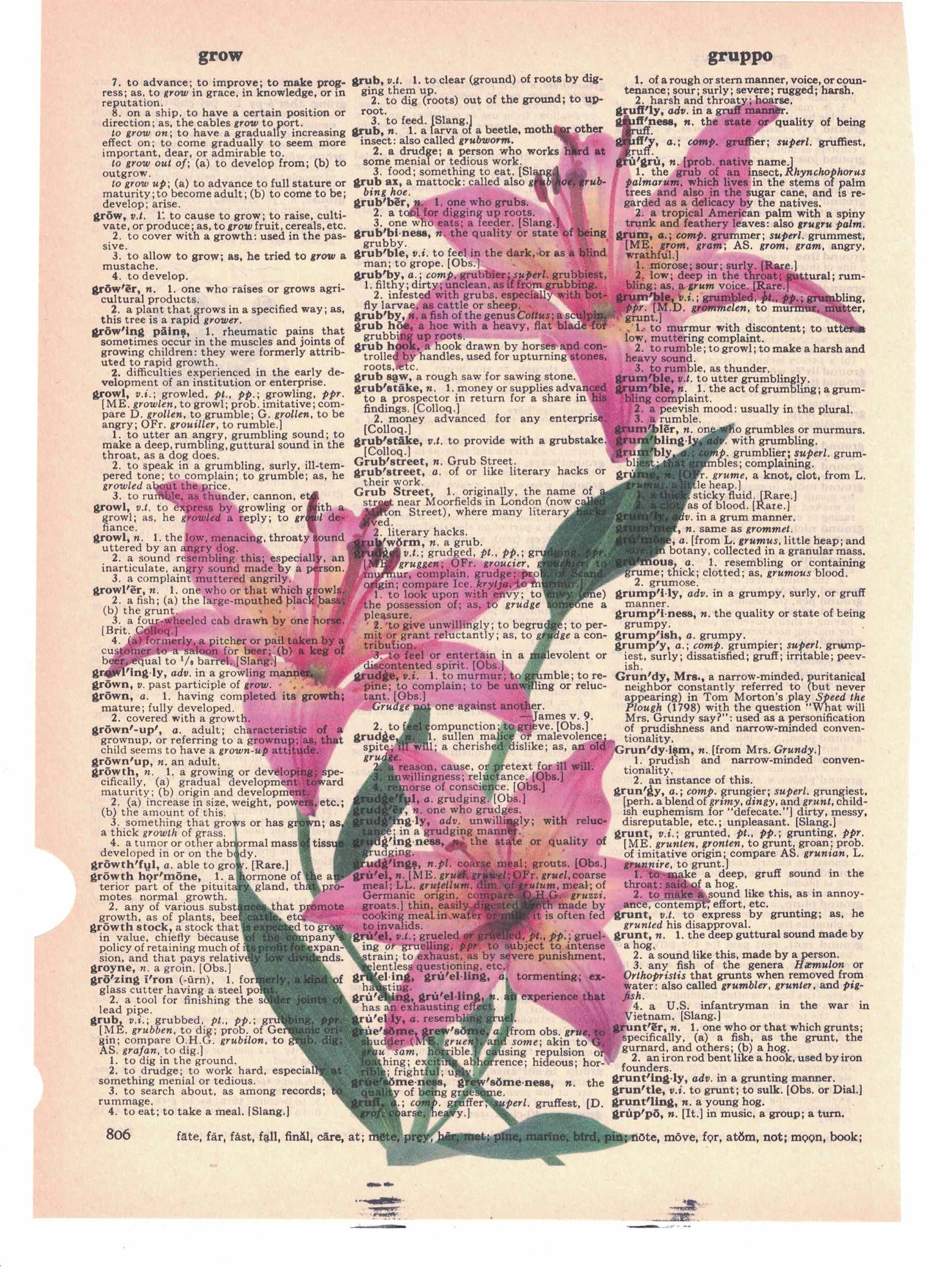 Lily Flower Dictionary Page Art