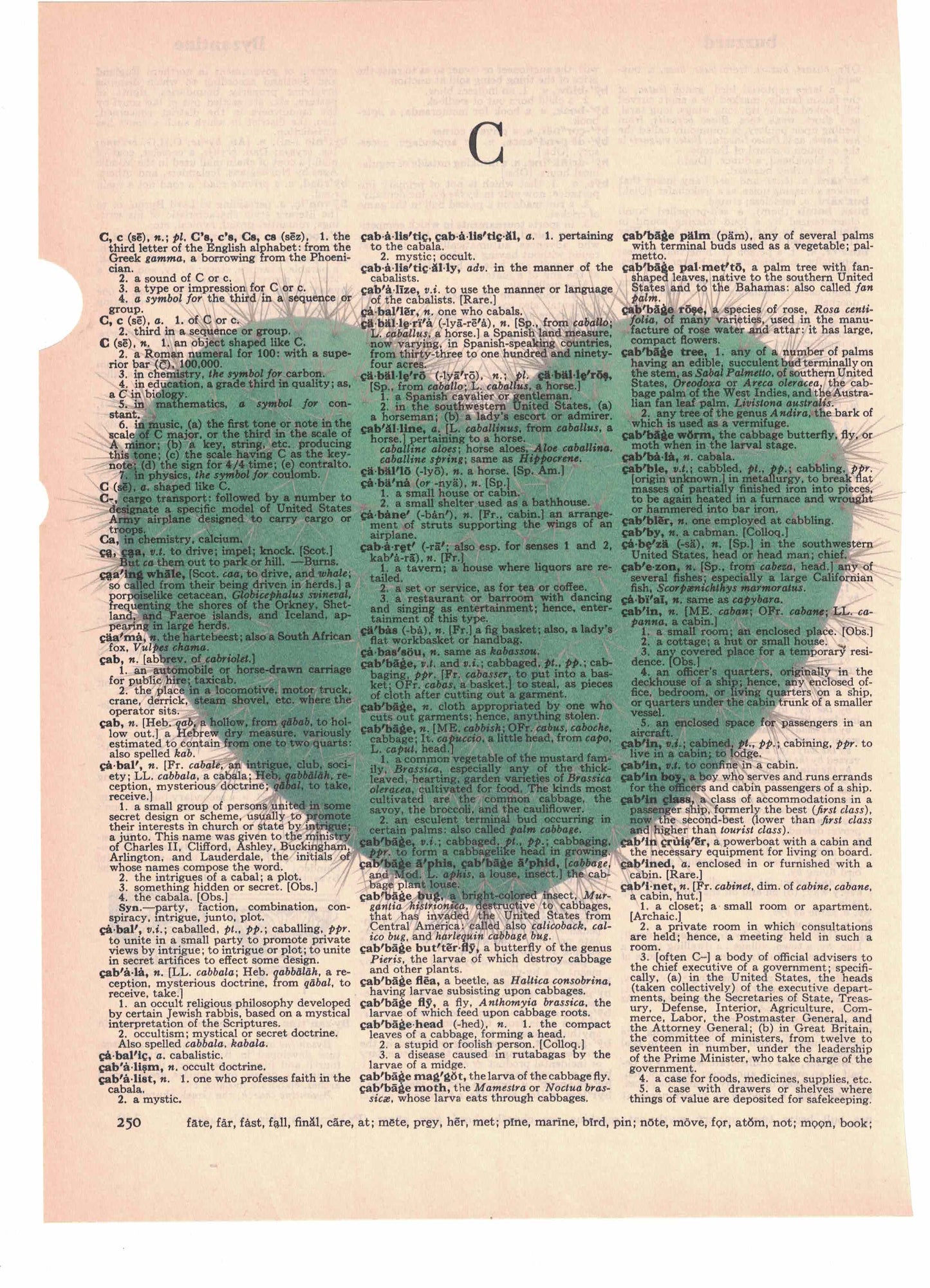 Cactus Heart Dictionary Page Art