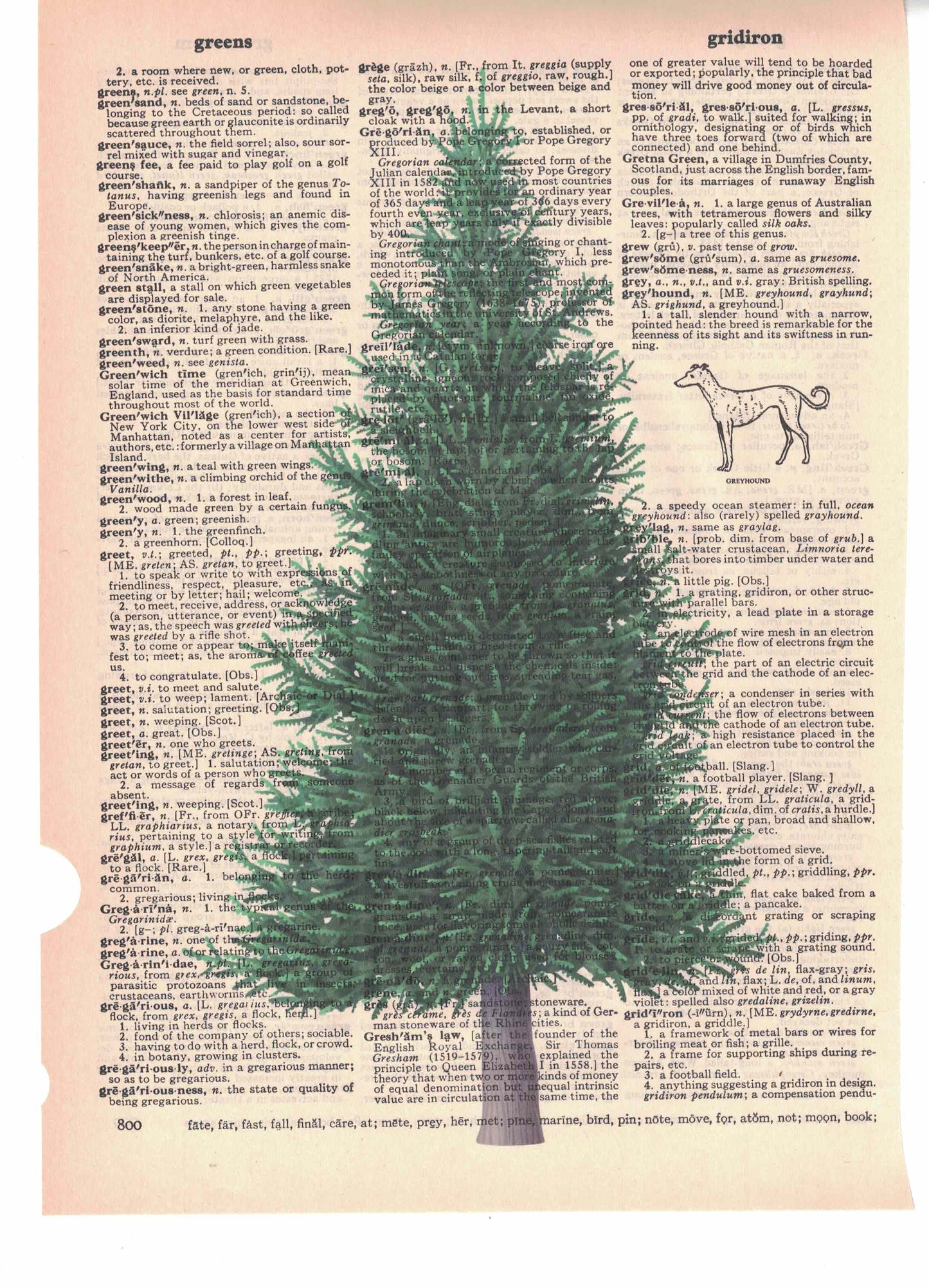 Pine Tree Dictionary Art Print
